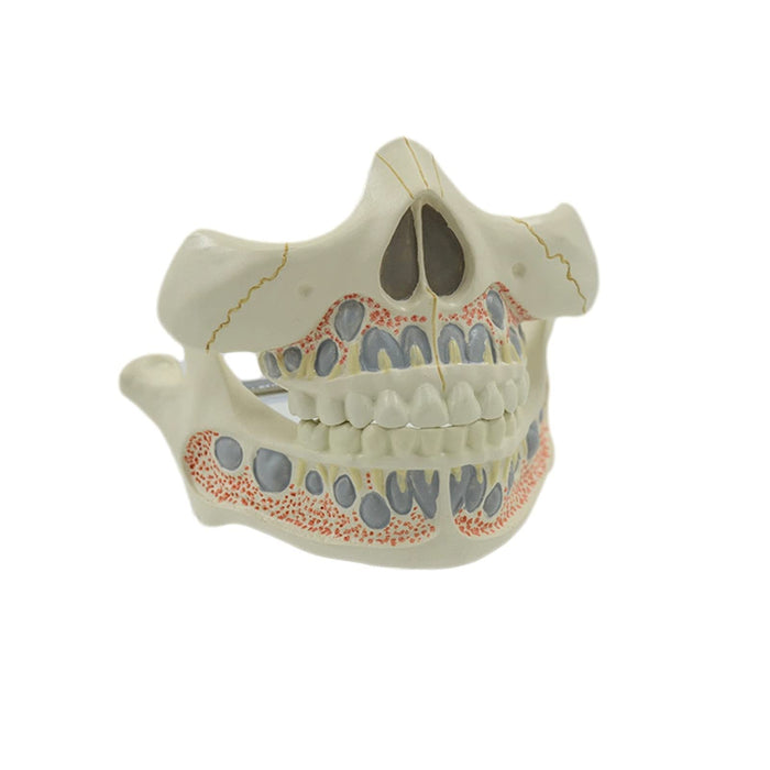 Growth Tracking for Facial & Jaw Development