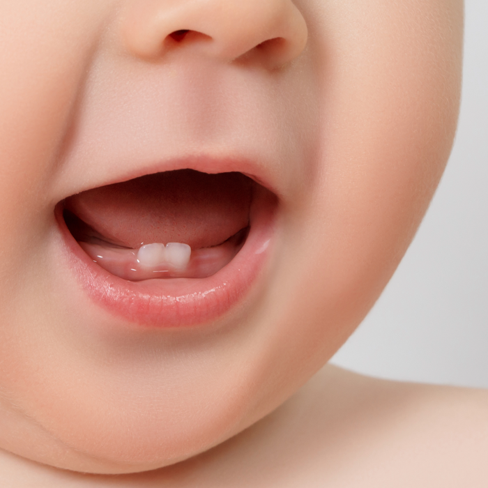 When do Babies Get Teeth? 