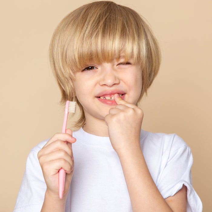 How Much Is a Dental Cleaning Without Insurance